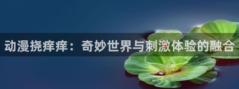 里番h动漫在线观看