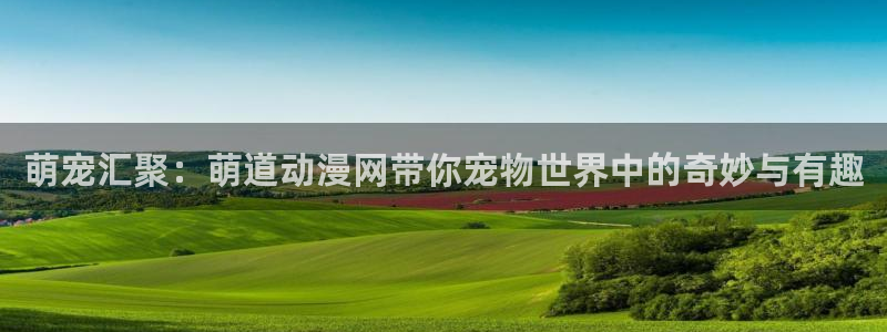 动画片里番
