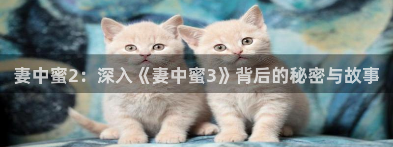 漫画肉里番