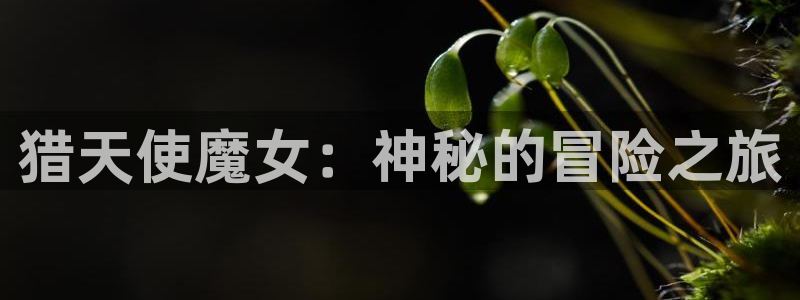 里番免费