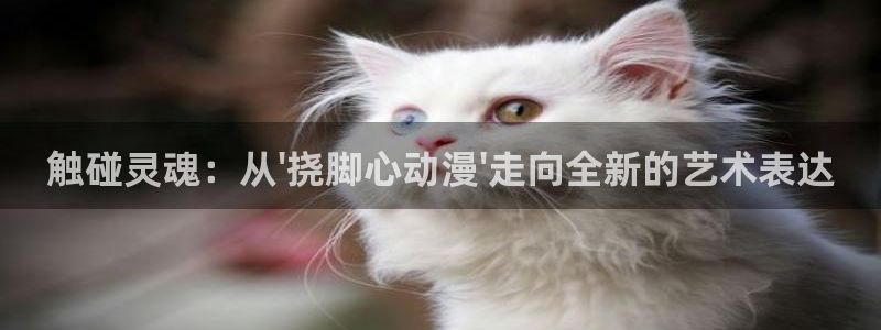 免费看里番动漫