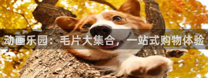 里番新番