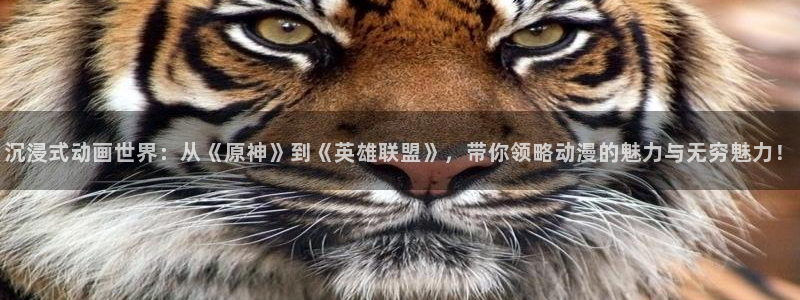 动漫里番网在线观看