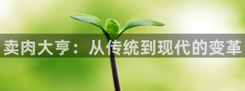 里番动漫在线观