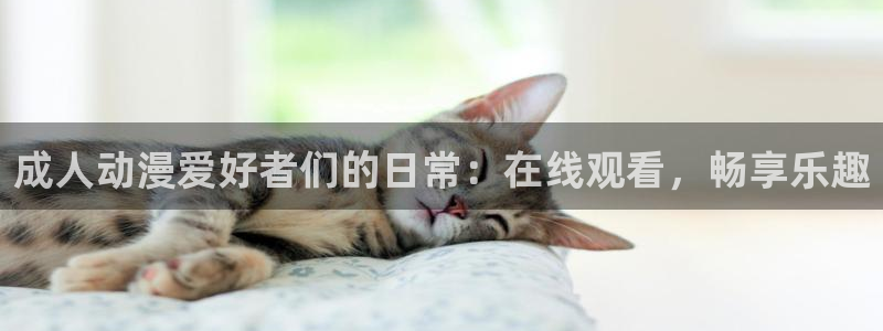 里番新番