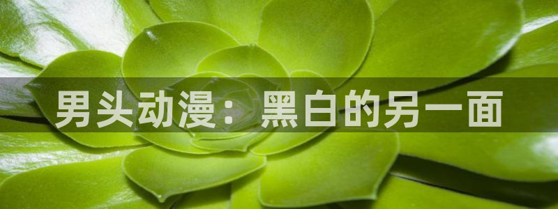 里番动漫在线观看