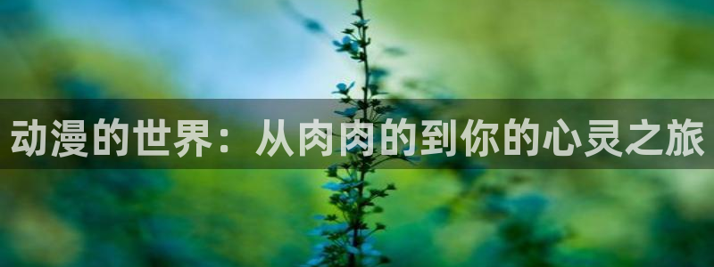 动漫里番去哪看