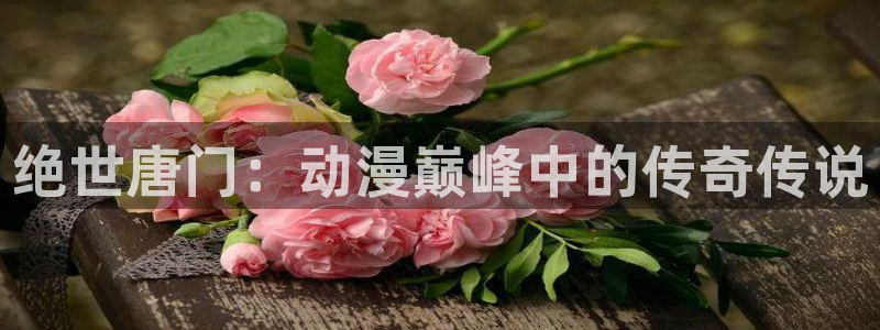 里番动漫免
