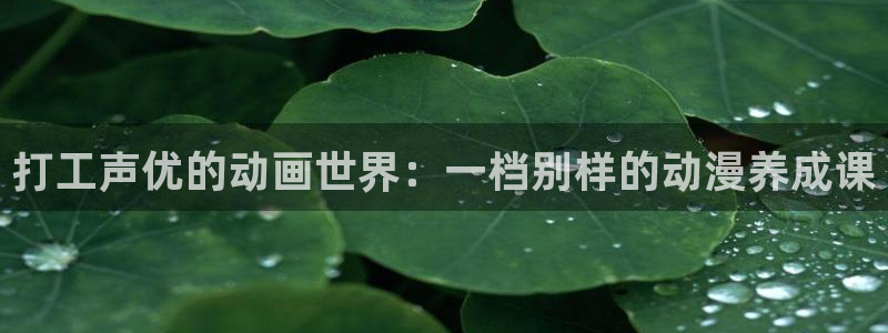 里番动漫网站免费