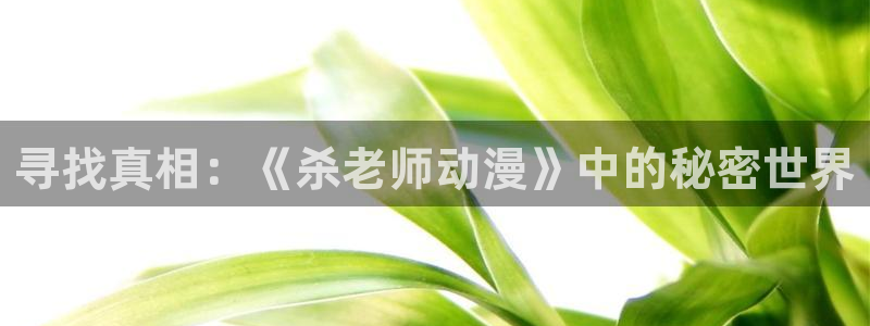 里番动漫视频