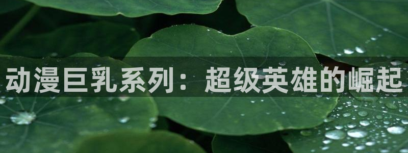 里番动漫网免费观看