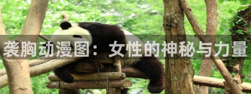 里番动漫图片：袭胸动漫图：女性的神秘与力量